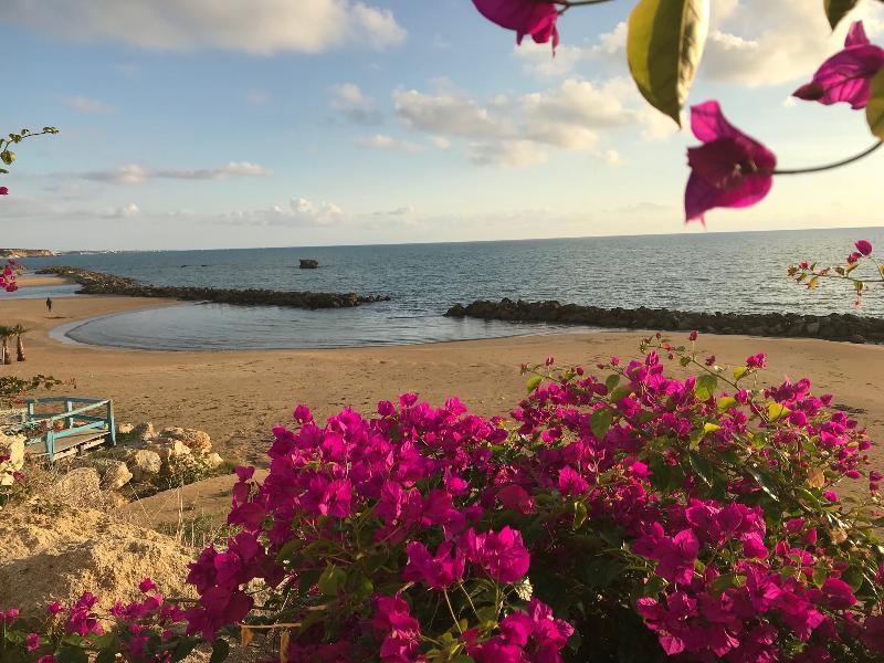 سكولييتي Sikelika Residence Sul Mare المظهر الخارجي الصورة